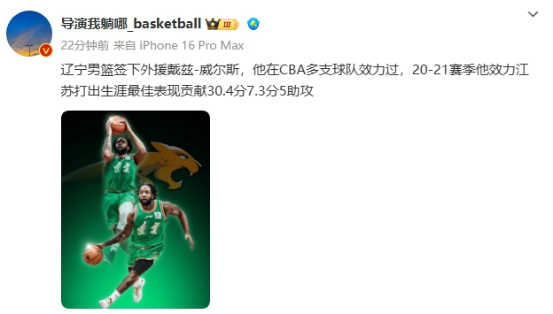 媒体人:辽宁男篮签下威尔斯 6年效力6家不同的CBA球队